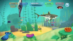Shark! Shark! на Xbox — активацию с моментальной выдачей