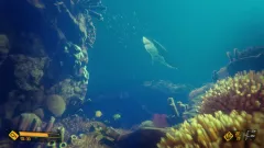 Активацию Deep Diving Adventures для Xbox One и Series X|S