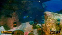 Deep Diving Adventures на Xbox — активацию с моментальной выдачей