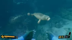 Активацию Deep Diving Adventures для Xbox One и Series X|S