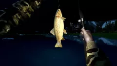 Заказать активацию House Builder & Ultimate Fishing Simulator на Xbox
