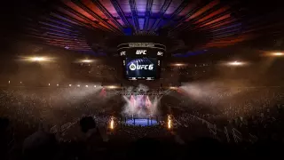 UFC 6 Ultimate Edition — купить ключ дёшево