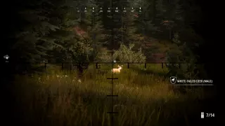 Ключ Hunting Simulator 2: Elite Edition для Xbox One и Series X|S