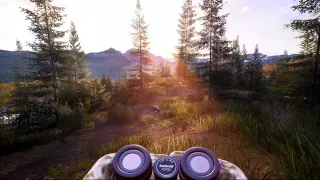 Hunting Simulator 2: Elite Edition на Xbox — ключ с моментальной выдачей