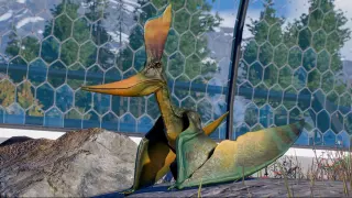 Jurassic World Evolution 2 эксклюзивный набор на Xbox — DLC с моментальной выдачей
