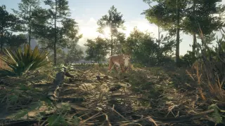 Ключ theHunter: Call of the Wild Rancho Del Arroyo для Xbox One и Series X|S