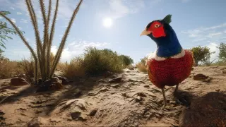 theHunter: Call of the Wild Rancho Del Arroyo — купить ключ дёшево