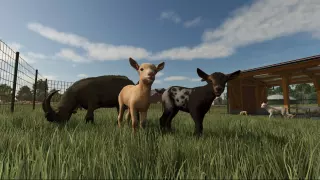 Ключ Farming Simulator 25 для Xbox One и Series X|S