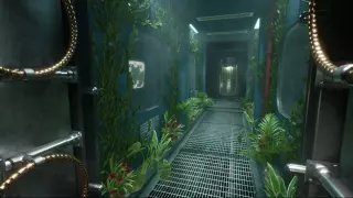 The Outlast Trials — купить ключ дёшево
