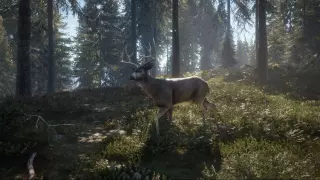 Купить ключ theHunter: Call of the Wild Starter Bundle для Xbox выгодно