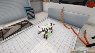 Купить ключ Animal Shelter Simulator для Xbox выгодно
