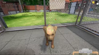 Заказать ключ Animal Shelter Simulator на Xbox