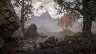 Купить ключ The Dead Tree of Ranchiuna для Xbox выгодно