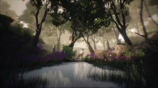 Blacktail на Xbox — ключ с моментальной выдачей