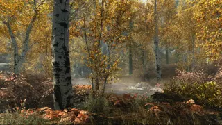 Заказать ключ The Elder Scrolls V: Skyrim Special Edition на Xbox