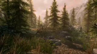 Купить ключ The Elder Scrolls V: Skyrim Special Edition на Xbox по выгодной цене