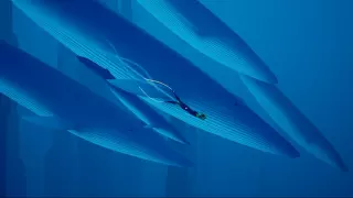Купить ключ ABZU для Xbox выгодно