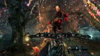 Купить ключ Shadow Warrior для Xbox выгодно