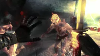 Заказать ключ Shadow Warrior на Xbox