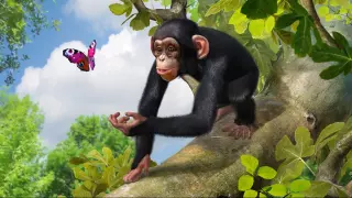 Купить ключ Zoo Tycoon для Xbox выгодно