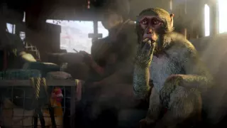 Набор Far Cry 4 + Far Cry Primal — купить ключ дёшево